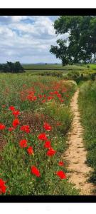 Old house by the stream