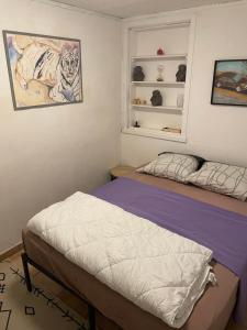 Marseillan plage maison avec jardin