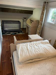 Marseillan plage maison avec jardin