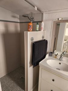 Maisons de vacances MAISON Terrasse PISCINE : photos des chambres