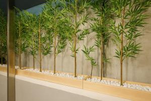 Seoyuni Stay 6 people 7 minutes from Hyehwa Station Gwanghwamun Hanok Village 5 minutes by airport bus