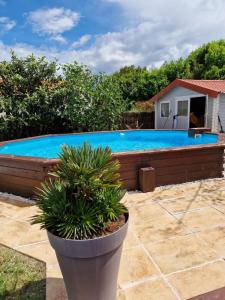 Maisons de vacances La Dyva 2 : photos des chambres