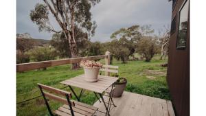 Rosewood Mac by Tiny Away