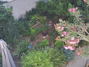 1918Apartman Šibenik centar,Poljana