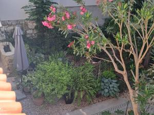 1918Apartman Šibenik centar,Poljana