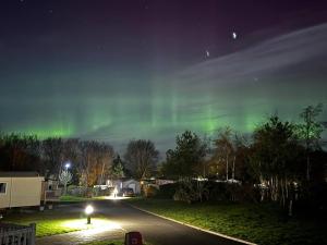Vacant Nests Seton sands The Belfry