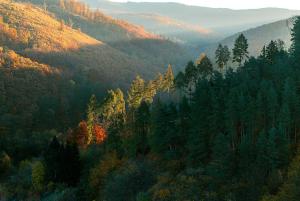 Fenyőhegy Luxus Pihenőház Mátrakeresztes