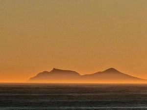 Kleinblom in Pringle