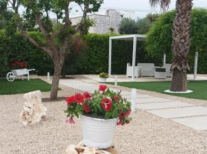 Apulian Charme Trulli and Cottage