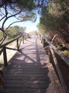 Atico Punta Candor Rota - Ubytování bez kategorie ve městě Rota