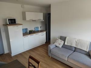 Appartements Appart' Islande : Appartement 1 Chambre