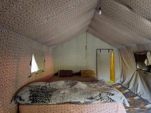 Jamaica camp chandertal 2011