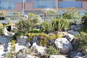 Appartement vue mer 3 pièces - Gruissan Ayguades AY110-M04