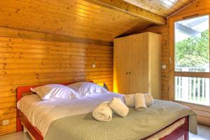 Le Repaire des Chatons - 15min Dune du Pyla