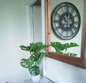 Spacious Apartment - Double and Sofa Bed - Wonderful Pavilion Views