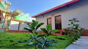 VEDIC HoMESTAY