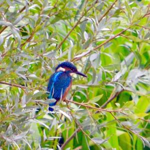 The Smithy, Wonderful Riverside Accommodation