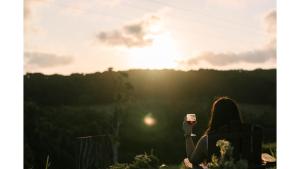 Rainforest Sunsets by Tiny Away