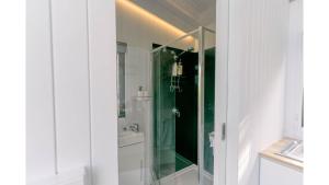 Rainforest Sunsets by Tiny Away