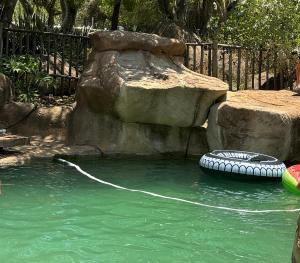 Little Africa in Midrand