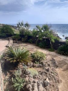 La casa di Leo e Lucy