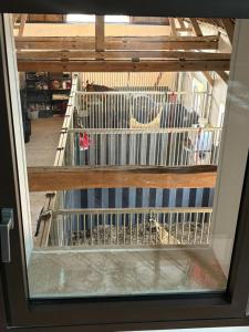 Gîtes Casalé Di Vito