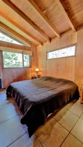 Alihuen Cabañas Cab 3