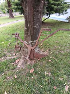 Dal tramonto all' alba img14