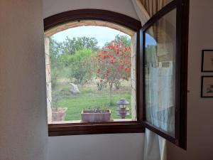 B&B Castiglias img42