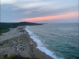Фургон в Синеморец