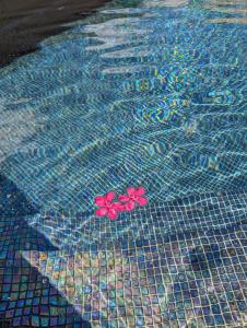 Villas Villa with air-conditioned pool, 15 minutes from beaches and Montpellier : photos des chambres