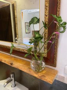 Agriturismo Nibbiano