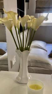 Central Apartment Tirana