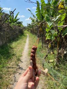 Homestay Mekong Can Tho