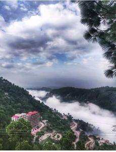 2BHK Furnished ApartmentNear KasauliBarogLuv Fun & Adventure