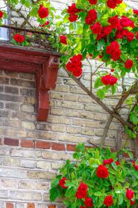 Lundsgaard Gods Badehotel