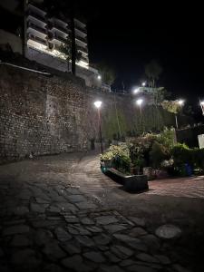 2BHK Furnished ApartmentNear KasauliBarogLuv Fun & Adventure