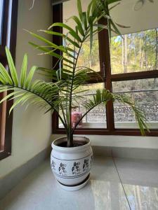 2BHK Furnished ApartmentNear KasauliBarogLuv Fun & Adventure