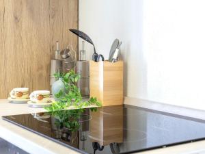 Apartment Domus Flavia by Interhome img2