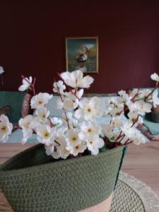 Apartman Kutak Nešić