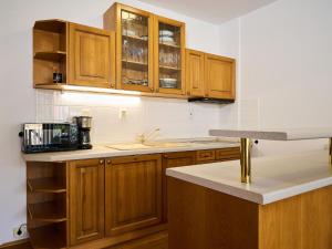 Studio Rosie-Dolní náměstí by Interhome