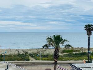 Appartements Appartement 50 m de la plage vue mer : photos des chambres