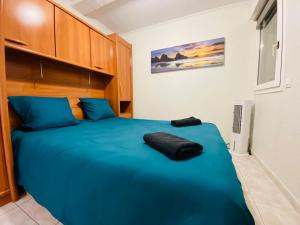 Appartement 50 m de la plage vue mer