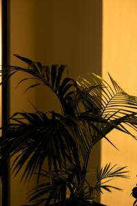 THE FLAG Meiller Gärten