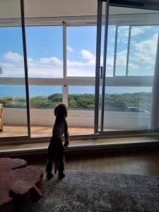 Seaview Sands Beach Apartment