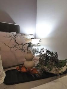 Deluxe Ferienwohnung Mit Schwimmingpool