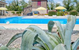 Maisons de vacances Cozy Home In Gardonne With Wifi : photos des chambres