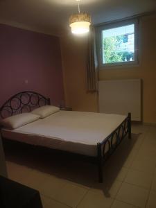 Plaza Apartments