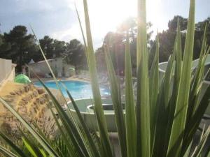 Campings Camping 3 etoiles - Piscine - eebeae : photos des chambres
