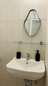 AMOS HOMES -Scarlatescu 27-29